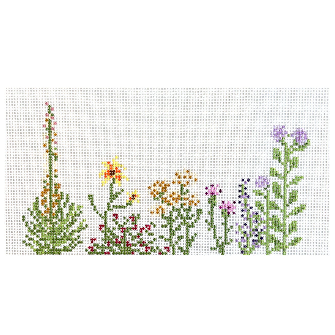 Kansas Wildflowers