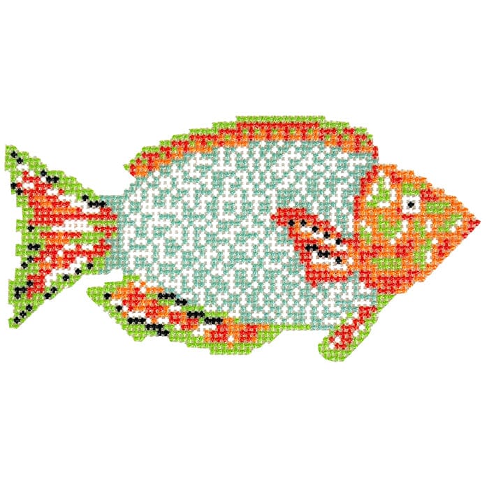 Green and Orange Parrotfish