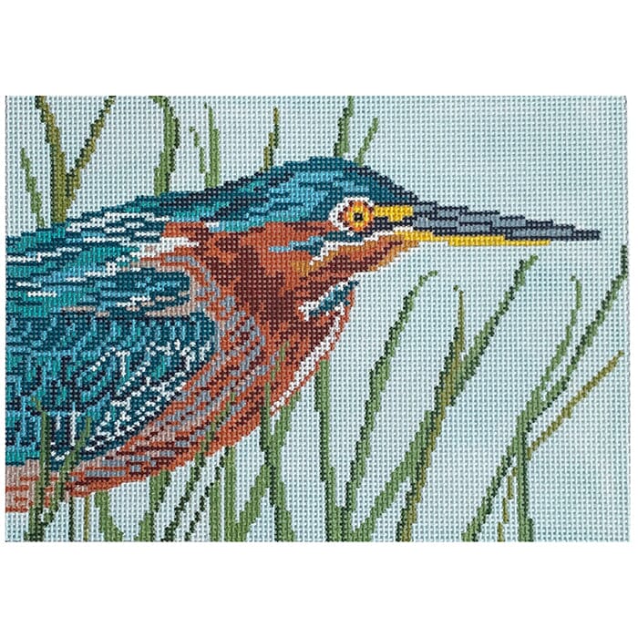 Green Backed Heron on 13