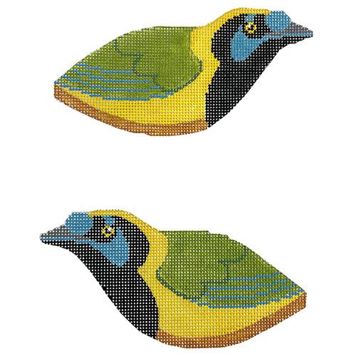 Green Jay 2-Sided Clip-On