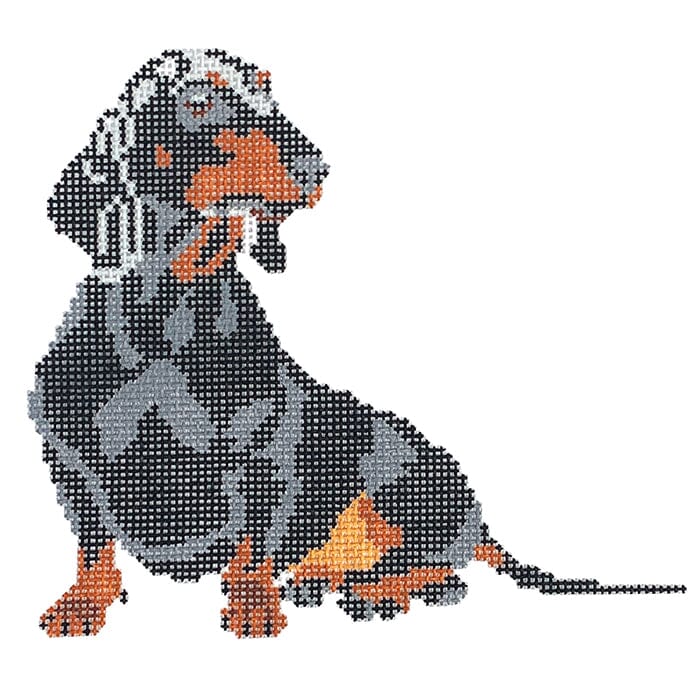 Gretal the Dachshund