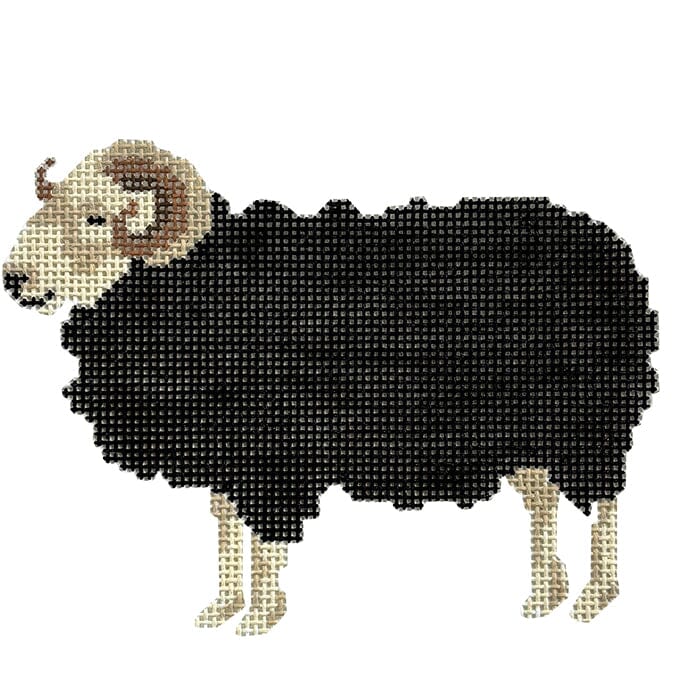 Herdwick Ram