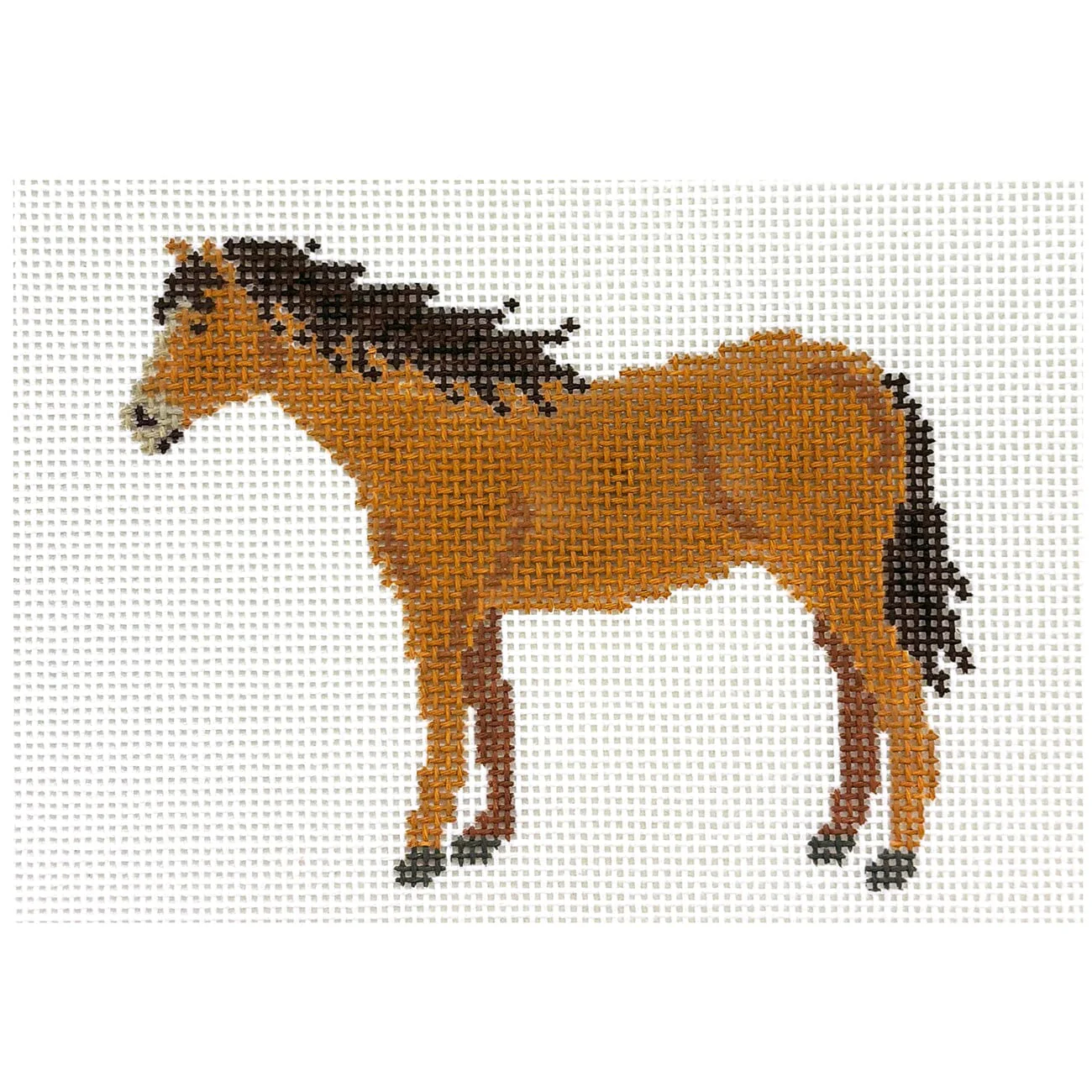 Horse Profile
