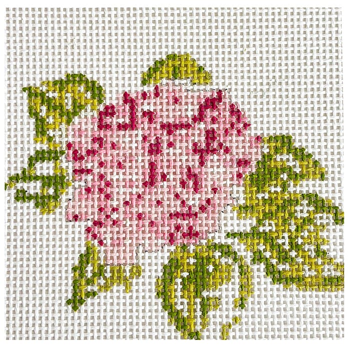 Hydrangea Pink/Green 4x4