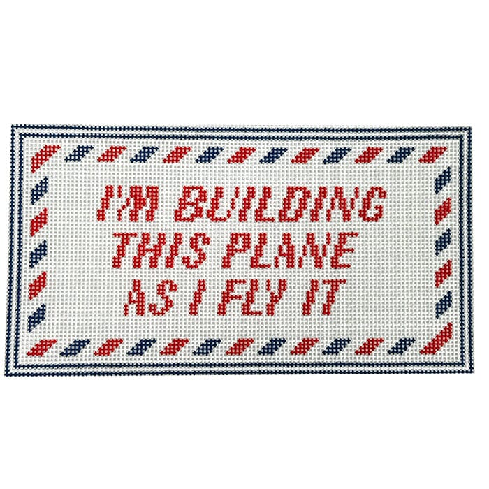 I'm Building this Plane as I Fly It