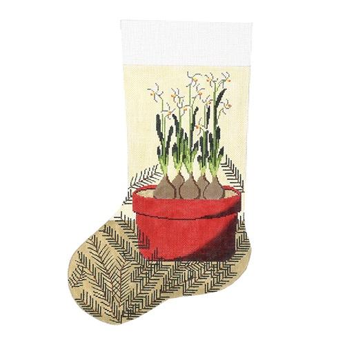 Paper White in Terra Cotta Stocking