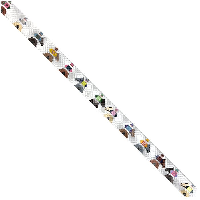 Jockey Butts Belt - Short