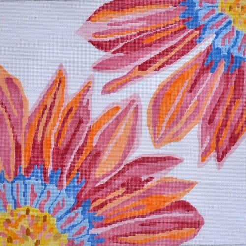 Morning Glow Daisy
