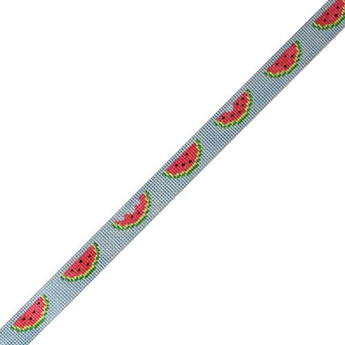 Sunglass Strap - Watermelon Slices