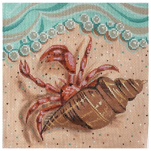 Hermit Crab on the Beach