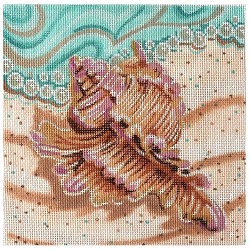 Conch Seashell on the Beach