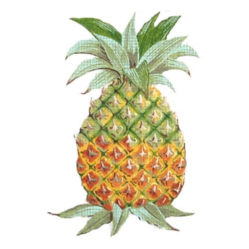 Pineapple