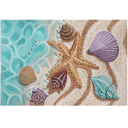 Seashells on the Beach with Starfish