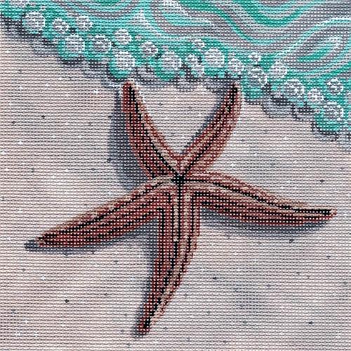 Star Fish on the Beach