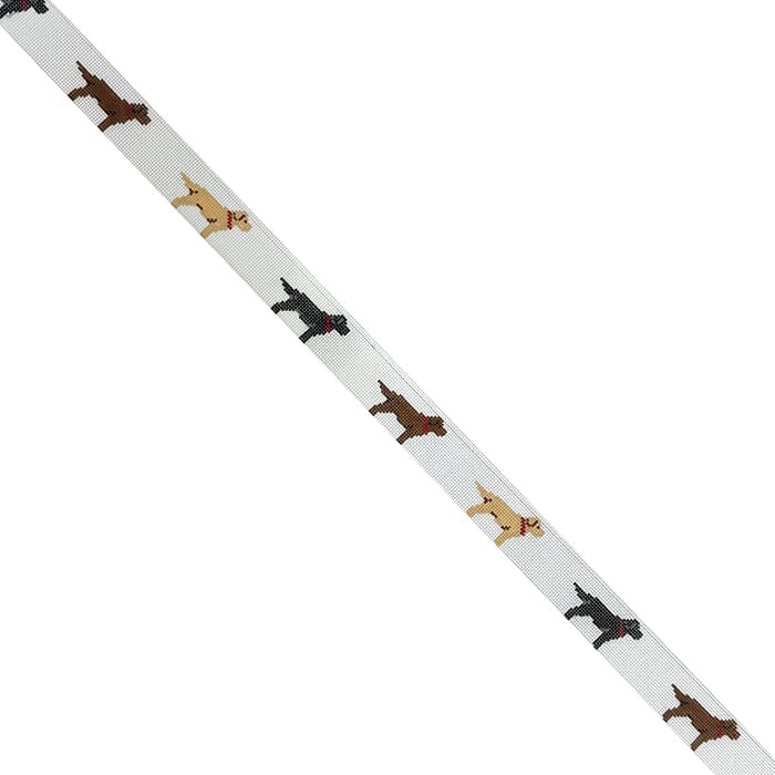 Labs Belt - Assorted - Design End to End
