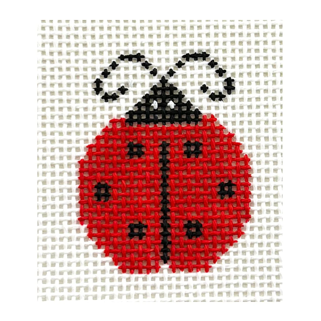 Ladybug Mini