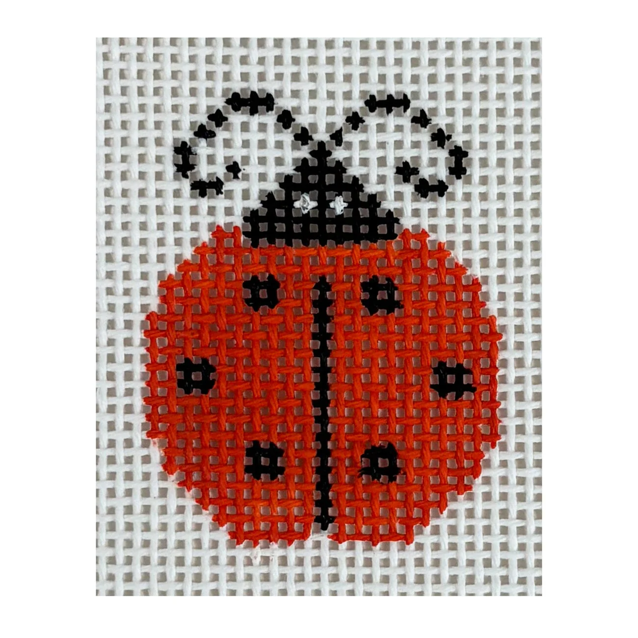 Ladybug Orange