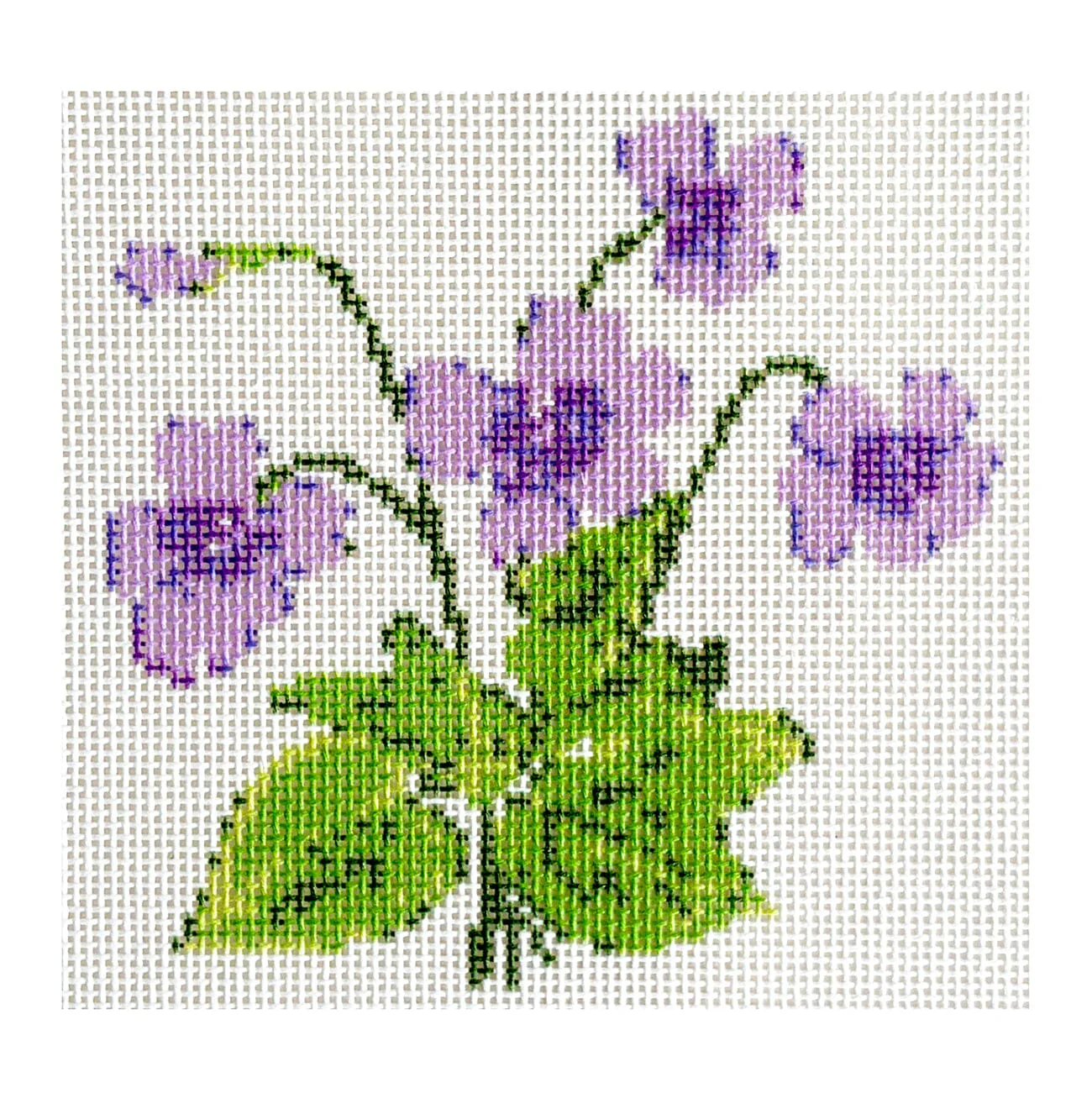 Lavender Flowers
