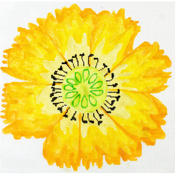 Lg Dazzle Flowers Yellow