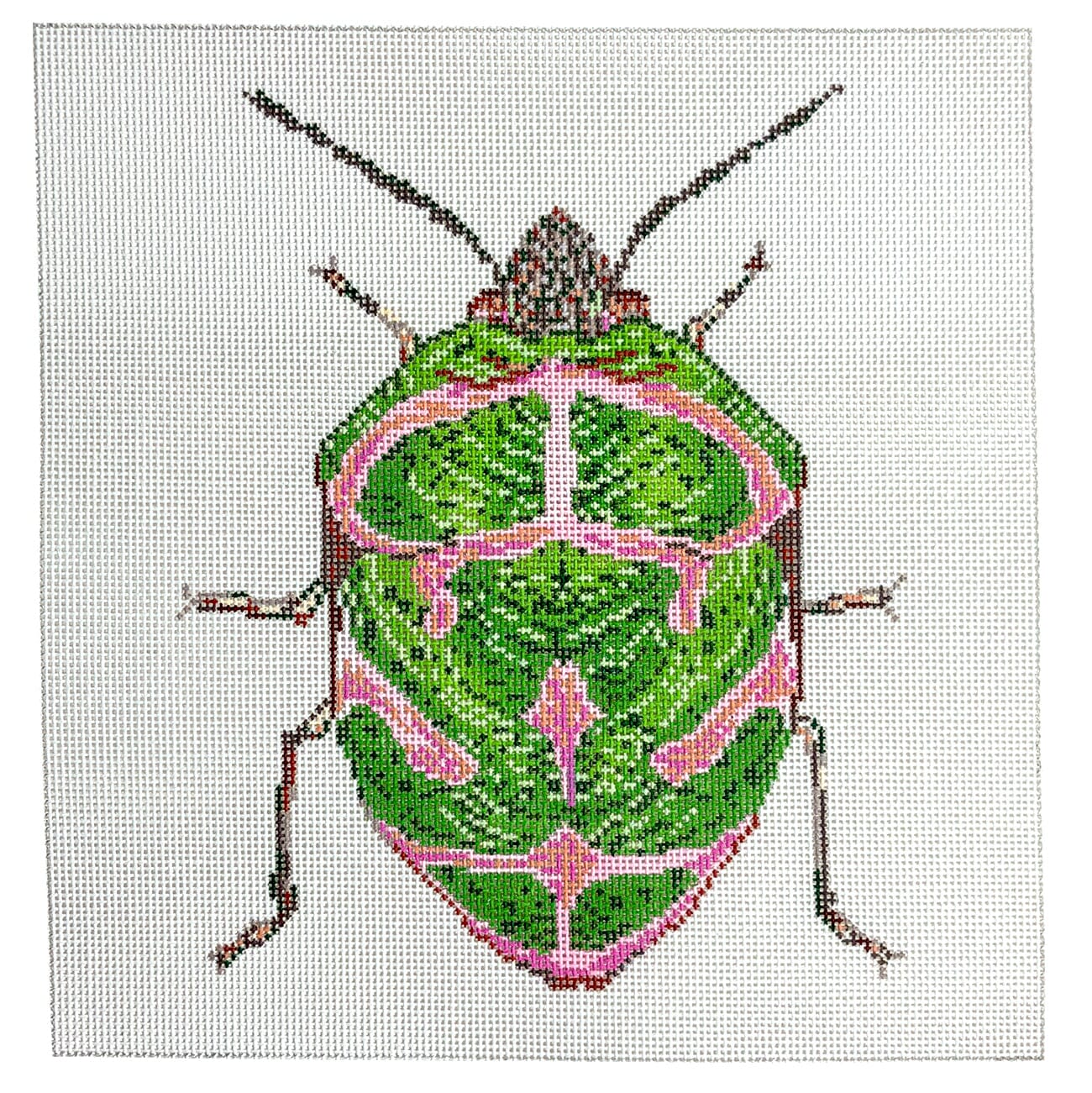 Little Bugs - Green & Pink