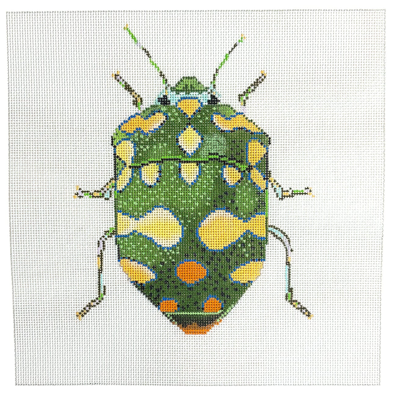 Little Bugs - Green & Yellow