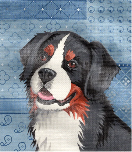 Bernese Mountain Dog on Blue