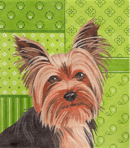 Yorkie on Green Patchwork