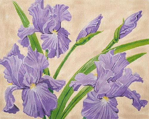Irises