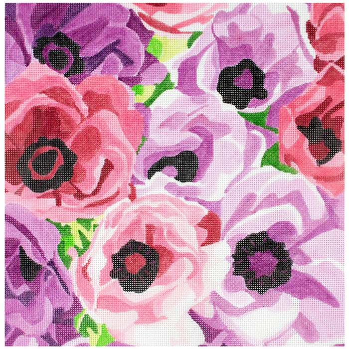 Lovely Anemones