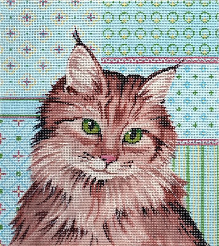 Maine Coone Cat