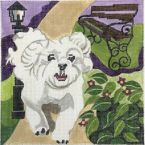 Maltese on the Run
