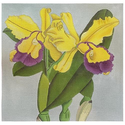 Yellow & Purple Orchids