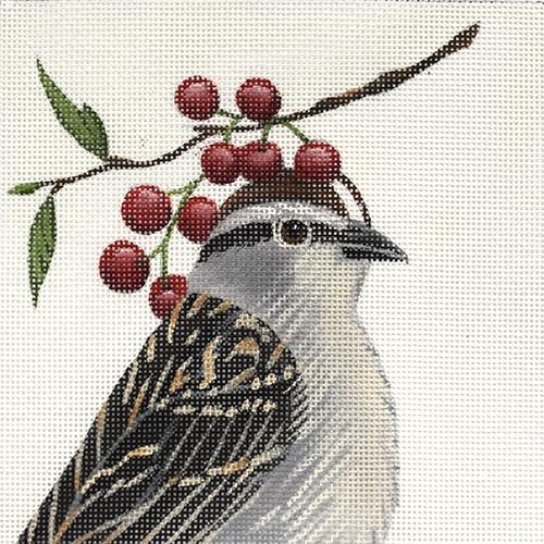 Leo - The Chipping Sparrow