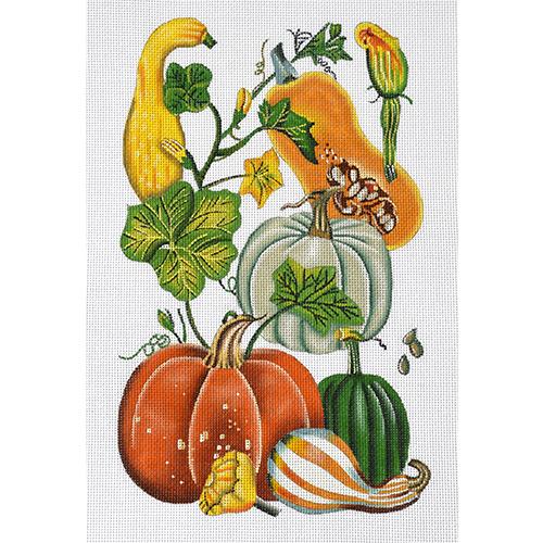 Squash