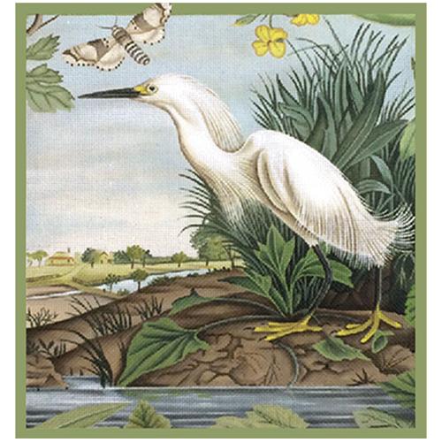 White Egret