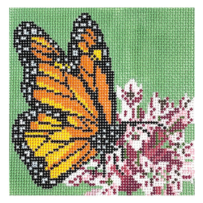 Monarch on Milkweed
