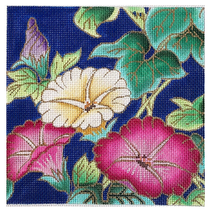 Morning Glories