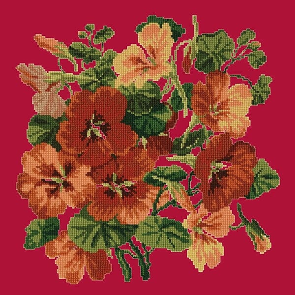 Nasturtium Needlepoint Kit - Image 18