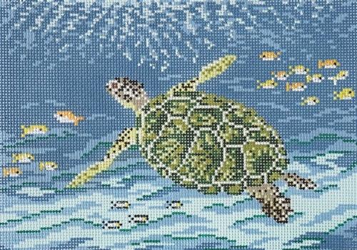 Sea Turtle on 18