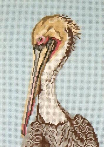 Brown Pelican Head on 18