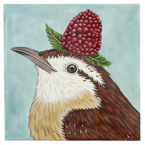 Niki the Carolina Wren