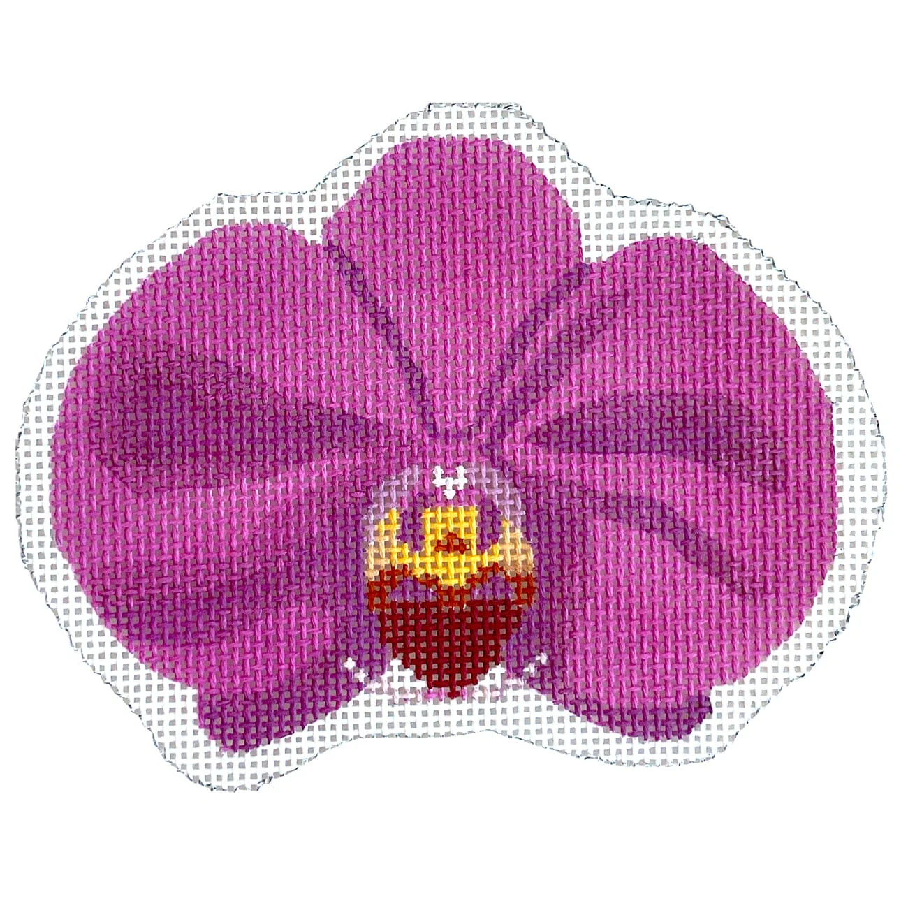 Orchid Bloom