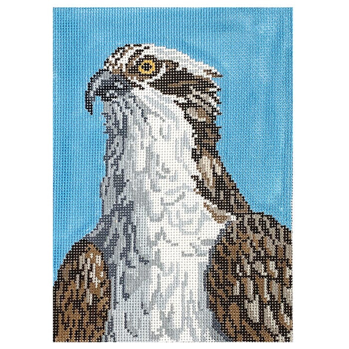 Osprey on 18