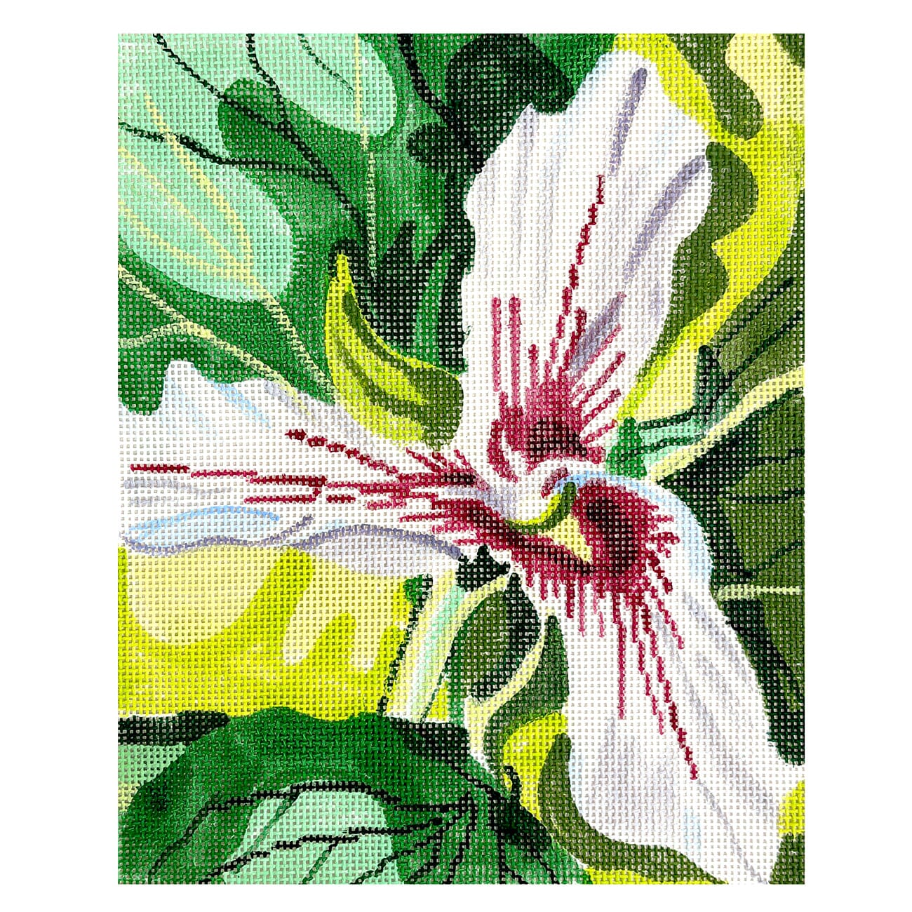 Painted Trillium 8x10