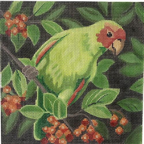 Parrot with Berries