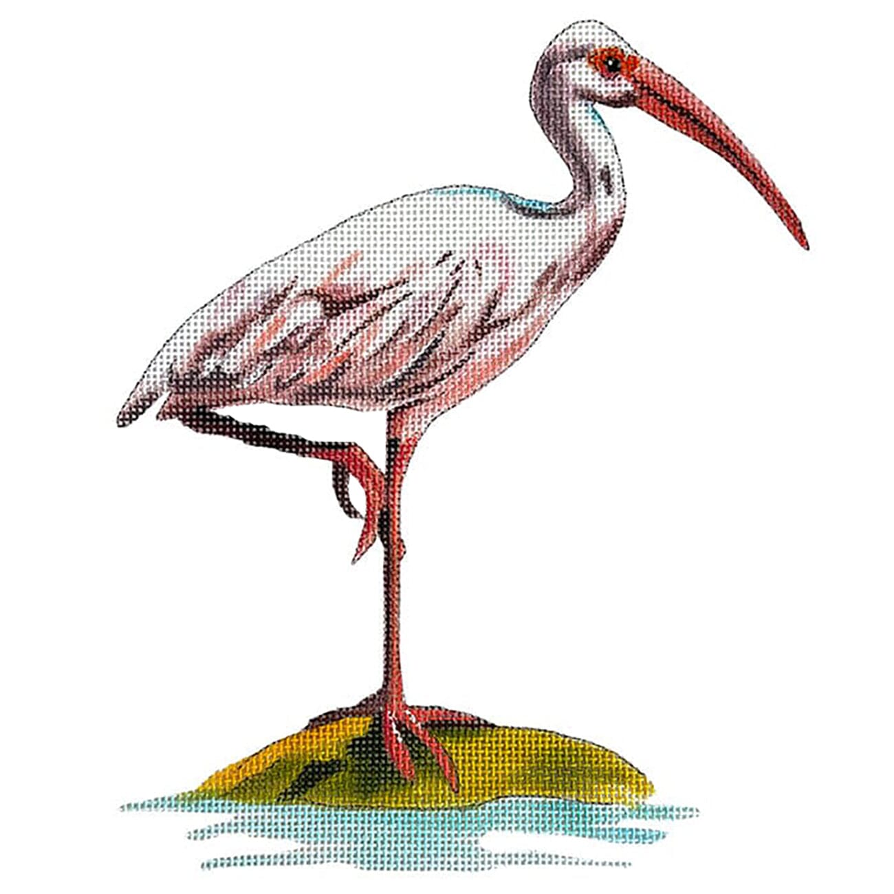 African Stork Illustration