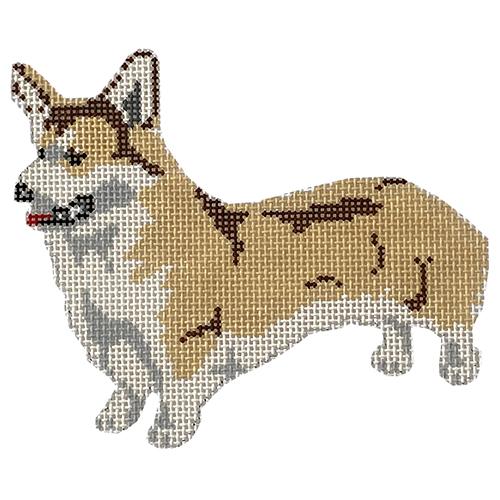 Pembroke Welsh Corgi