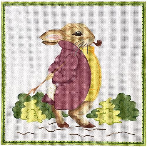 Peter Rabbit - Old Mr. Bouncer Pillow