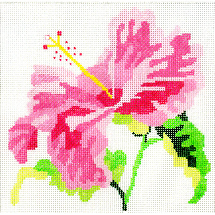 Pink Hibiscus 8"