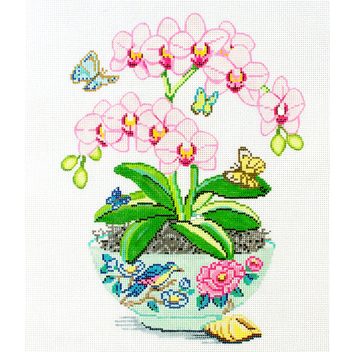 Pink Orchids in Vase